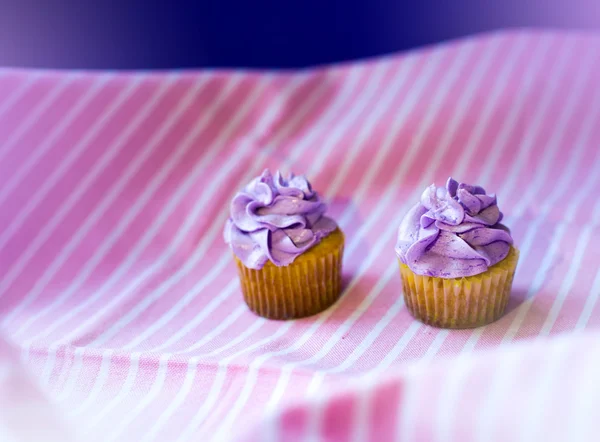 Cupcakes de férias — Fotografia de Stock