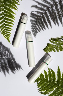 Eğreltiotu yapraklı hafif bir arka planda üç boş kavanoz.