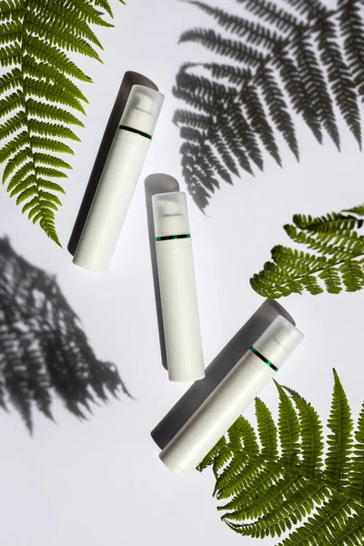 Eğreltiotu yapraklı hafif bir arka planda üç boş kavanoz.