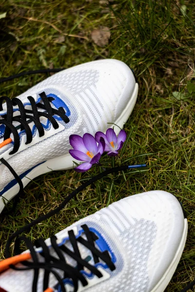Кросівки Біля Фіолетової Квітки — стокове фото