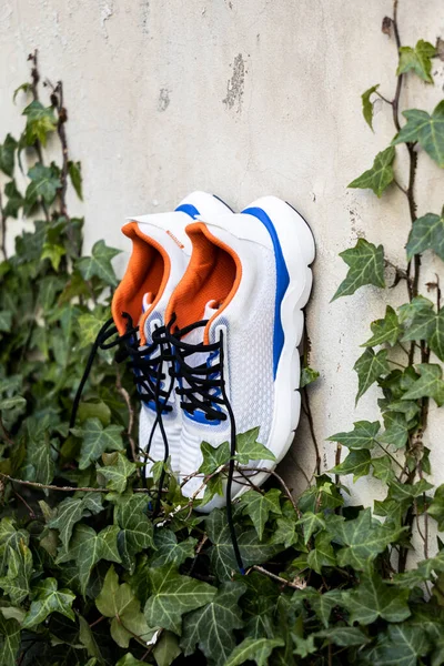 Running Shoes Athlete Runner — Stockfoto