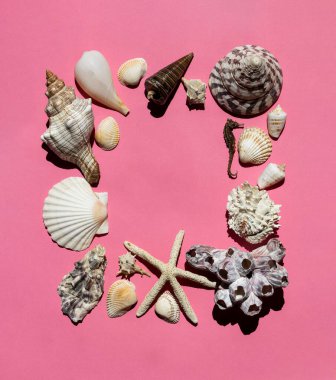 Yaz zamanı konsepti düz kompozisyon ile güzel deniz yıldızları ve deniz kabukları renkli tablo üzerinde yatıyordu, metin için metin alanı ile üst görünüm