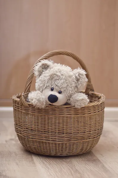 Teddy bear sitting in basket — Stock Photo, Image