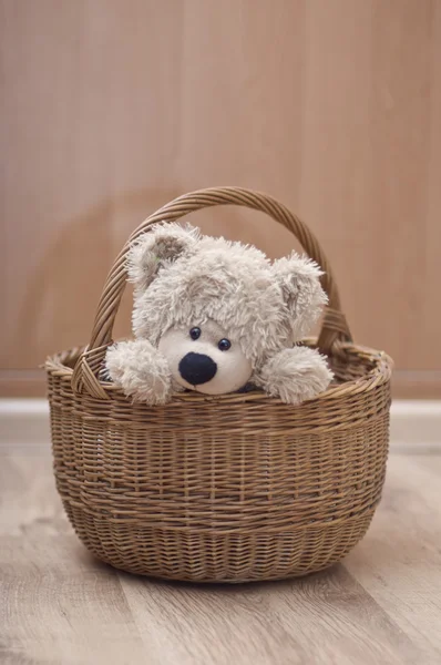 Ведмідь Тедді сидить у кошику Ліцензійні Стокові Фото