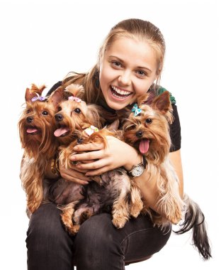 Cute young girl holding Yorkshire terrier dogs on her lap Cute young girl holding Yorkshire terrier dogs on her lap