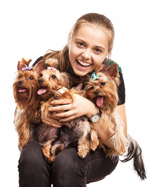 Милая молодая девушка держит йоркширских терьеров собак на коленях Милая молодая девушка держит йоркширских терьеров собак на коленях — стоковое фото