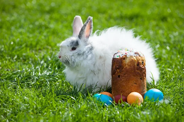 Easter bunny behind Easter cake and painted eggs — Stock Photo, Image