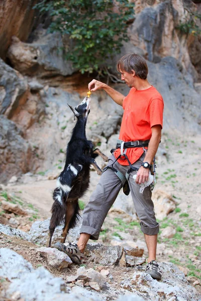 Escalador de rocha alimentando uma cabra em um penhasco — Fotografia de Stock