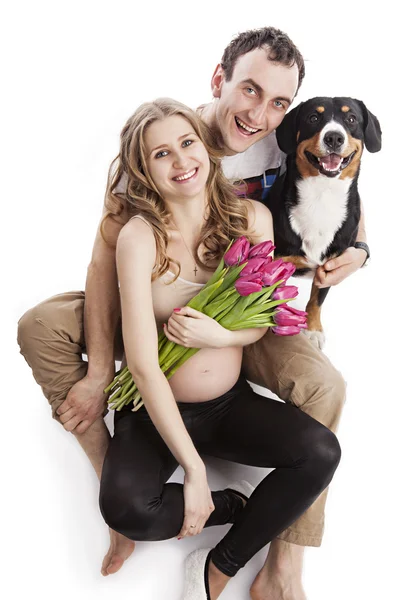 Young pregnant couple and Entlebucher Sennenhund dog over white — Stock Photo, Image