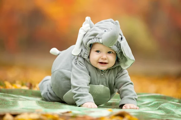 Baby boy dressed in elephant costume — Stock Photo, Image