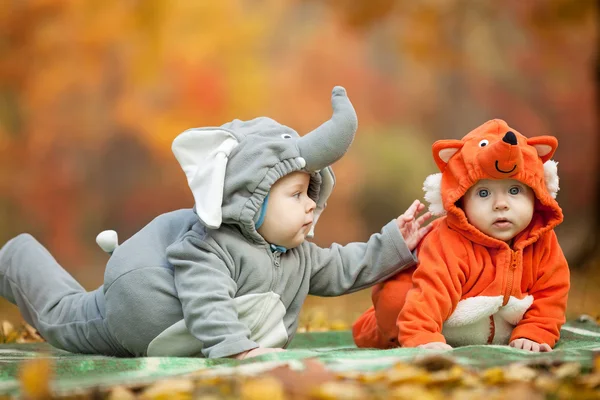 Twee baby jongens gekleed in dierlijke kostuums in park — Stockfoto