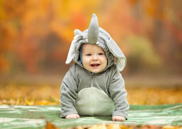 Menino vestido com traje de elefante no outono — Fotografia de Stock