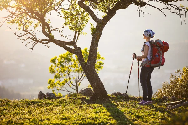 Vrouwelijke wandelaar staand op rotsmassief en genieten van uitzicht — Stockfoto