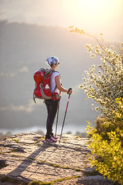 Jonge vrouwelijke wandelaar staand op rotsmassief en genieten van valleizicht — Stockfoto