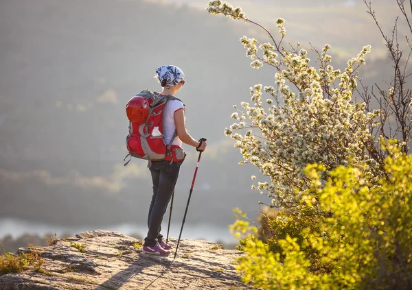 Jonge vrouwelijke wandelaar staand op rotsmassief en genieten van valleizicht — Stockfoto