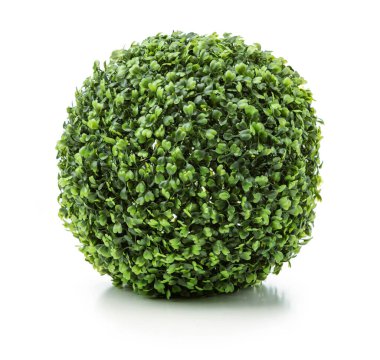 Small-leaved artificial plant in round shape over white background. Image for interior design and decoration of home and office.