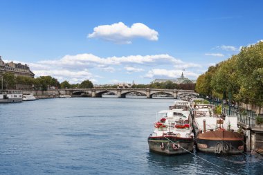 Seine Nehri