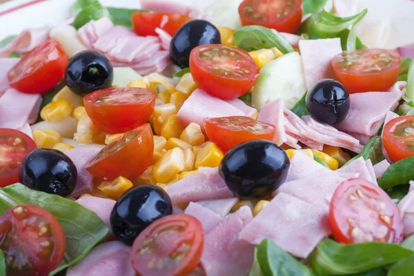 Salada colorida — Fotografia de Stock