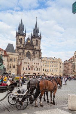 Prag turizm taşıma