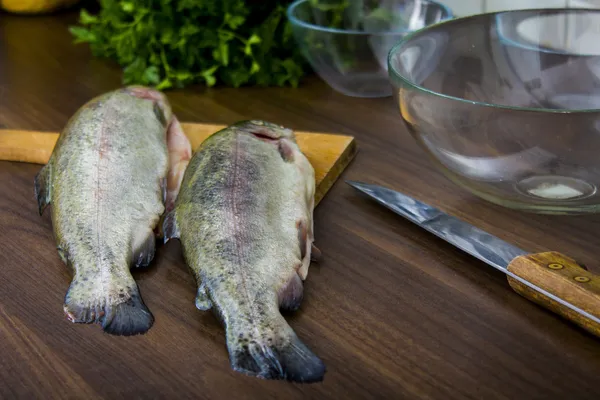 Two raw trouts — Stock Photo, Image