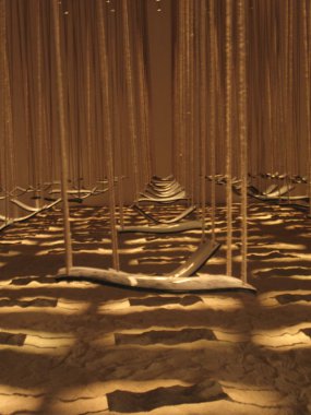 sallanır. 2007 sergisi istanbul'da bir uluslararası Bienaller olduğunu.