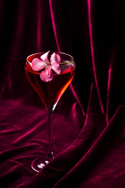 Klassisk Kosmopolitisk Cocktail Med Blomma Röd Sammet Kosmopolitisk Cocktaildrink Röd — Stockfoto