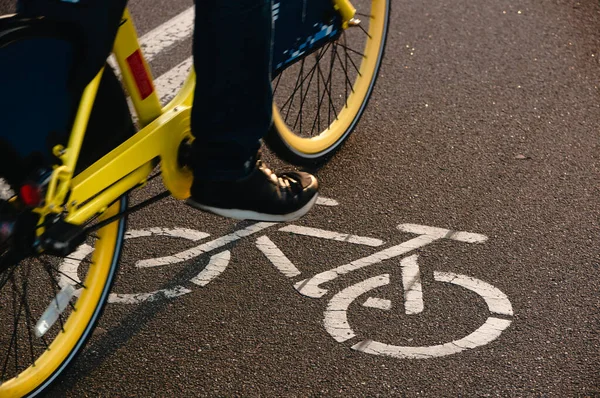 Πινακίδα Του Ποδηλατικού Μονοπατιού Σχέδιο Ποδηλάτου Λευκή Μπογιά Στην Άσφαλτο — Φωτογραφία Αρχείου