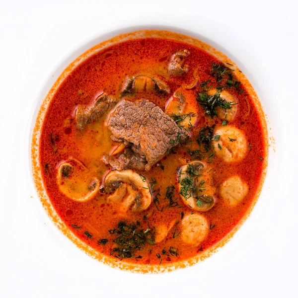 Zuppa Con Manzo Funghi Champignons Zuppa Calda Con Carne Funghi — Foto Stock