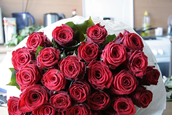 Rosas. — Foto de Stock