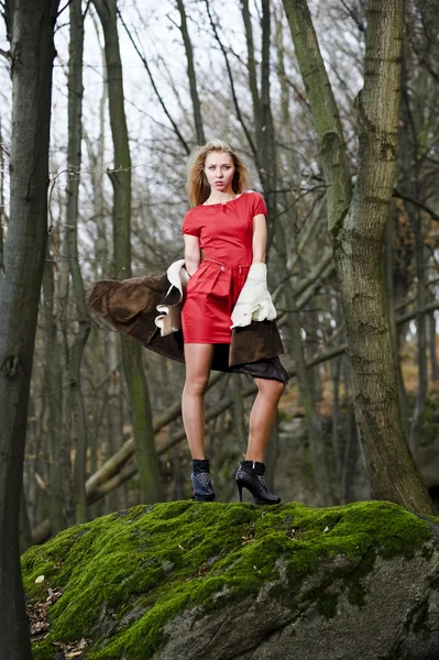 Retrato de yang y mujer con estilo en el bosque oscuro de otoño — Foto de Stock