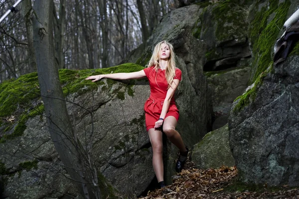 ヤンと秋の暗い森でスタイリッシュな女性の肖像画 — ストック写真