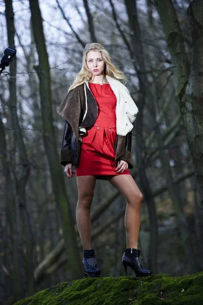 Portrait of yang and stylish woman in the autumn dark forest — Stock Photo, Image