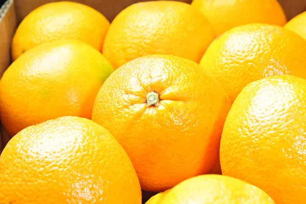 Imagen de cerca de las naranjas — Foto de Stock