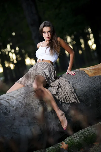 Portret van yang sexy vrouw in het bos zonsondergang achtergrond — Stockfoto