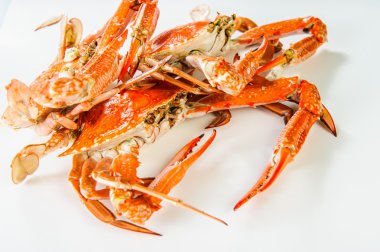 Kırmızı haşlama yengeç tabağı