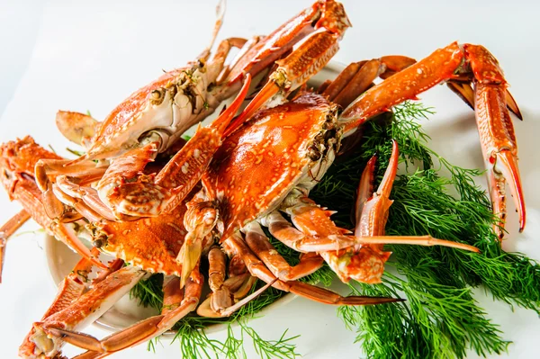 Plaat van rode Gekookte krabben — Stockfoto