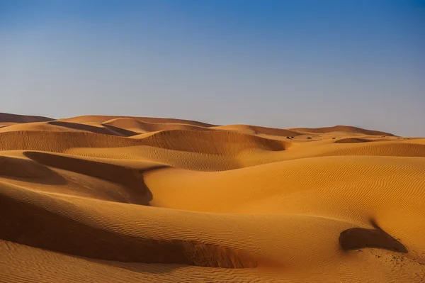 Picture of yellow desert in front of blue sky — Stock Photo, Image