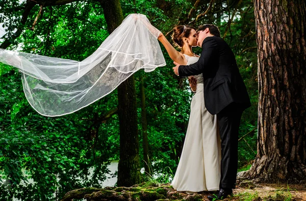 Wedding portrait of yang European newlyweds — Stock Photo, Image