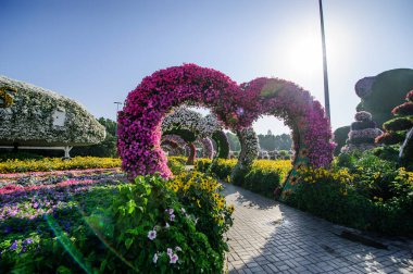 DUBAI, BAE - 28 Mart, Dubai Mucize Bahçesi, 16 Şubat 2022. 45 milyondan fazla çiçek var..