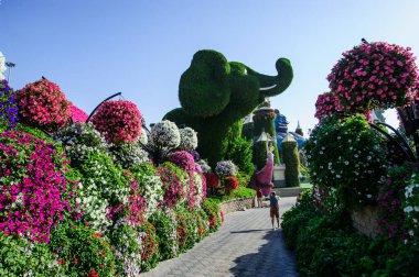 DUBAI, BAE - 28 Mart, Dubai Mucize Bahçesi, 16 Şubat 2022. 45 milyondan fazla çiçek var..