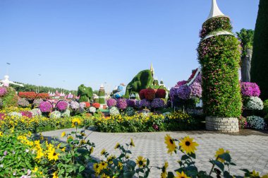 DUBAI, BAE - 28 Mart, Dubai Mucize Bahçesi, 16 Şubat 2022. 45 milyondan fazla çiçek var..