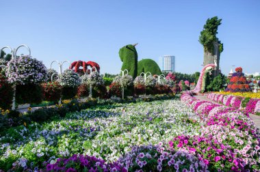 DUBAI, BAE - 28 Mart, Dubai Mucize Bahçesi, 16 Şubat 2022. 45 milyondan fazla çiçek var..