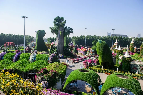 DUBAI, BAE - 28 Mart, Dubai Mucize Bahçesi, 16 Şubat 2022. 45 milyondan fazla çiçek var..