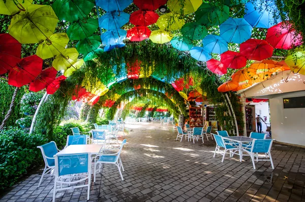 Dubai Vae März Dubai Miracle Garden Den Vae Februar 2022 — Stockfoto