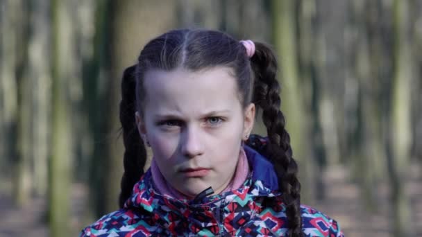 Egy Fiatal Lány Kültéri Portréja Kék Sárga Ukrán Zászlóval Arcán — Stock videók