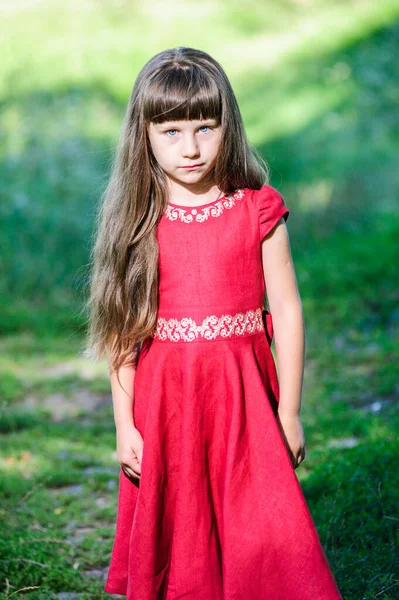 Happy Little Ukrainian Girl National Costume — Stock Photo, Image