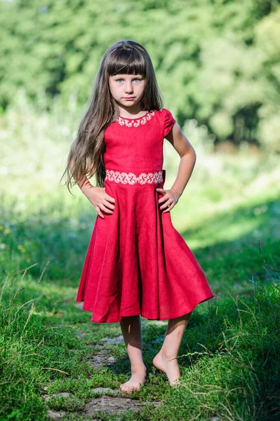 Felice Bambina Ucraina Costume Nazionale — Foto Stock
