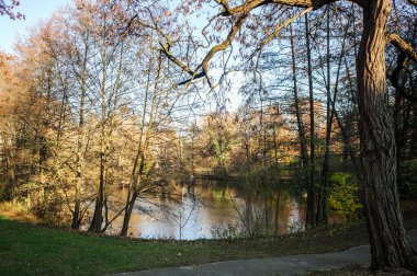 Güz Gölü Panoraması. Almanya..