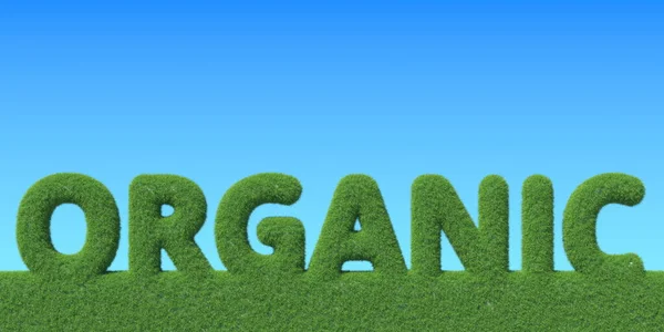 ORGANIC word made with green grass. Conceptual 3D rendering — Stock Photo, Image