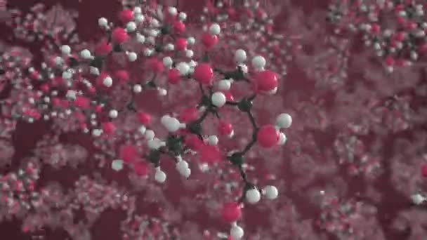 Raffinózní molekula vyrobená z kuliček, izolovaný molekulární model. Smyčka 3D animace nebo pozadí pohybu — Stock video
